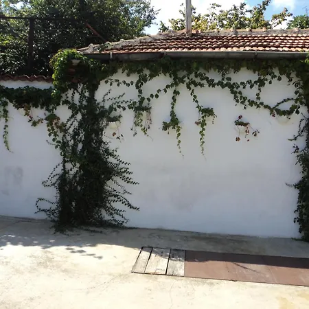 Drazhev Guest house 3*